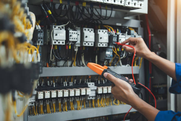 Best Electric Panel Repair  in Milmay, NJ